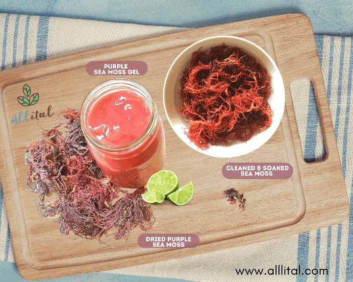 sea moss gel