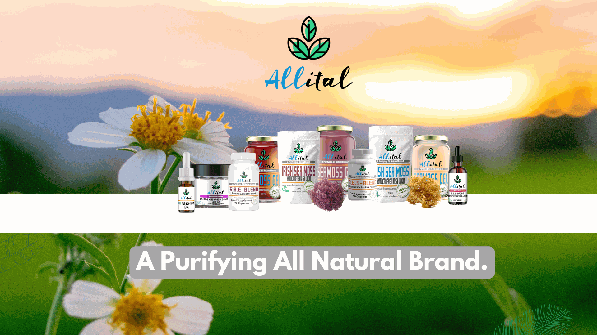 Allital sea moss store on amazon