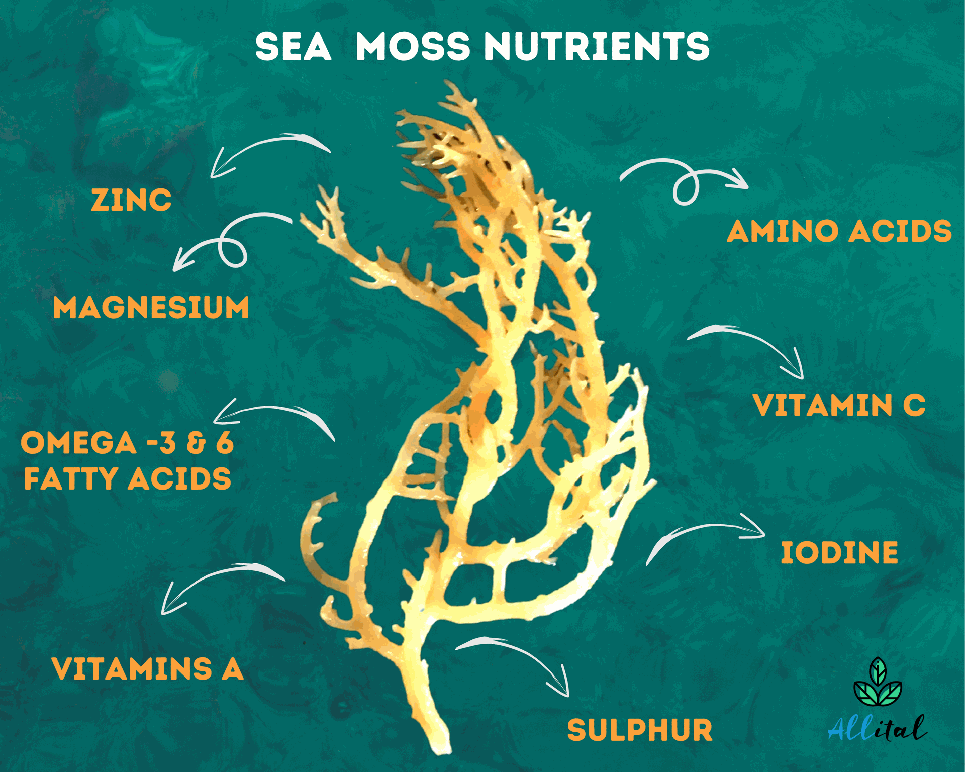 Sea moss nutrients
