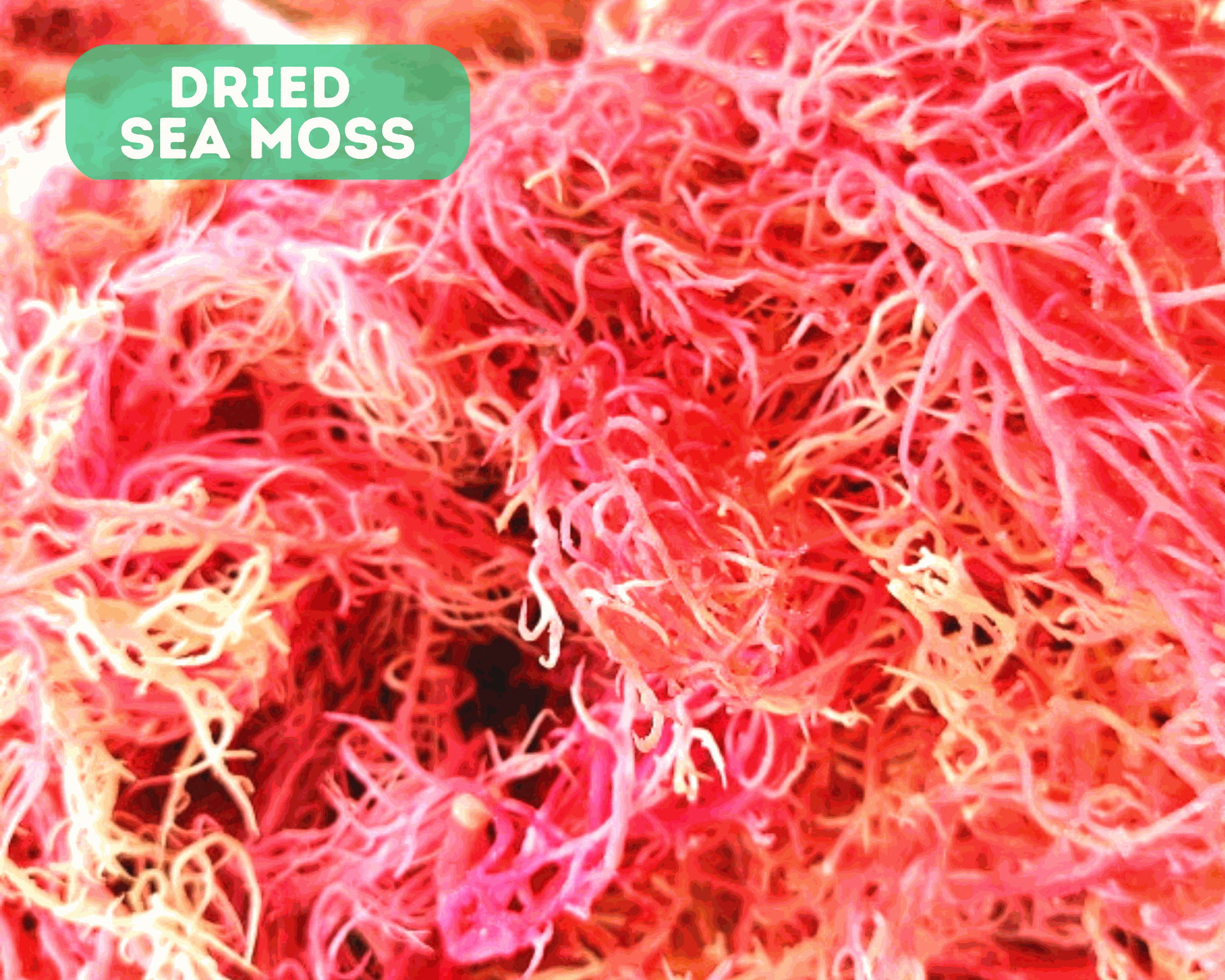 Wildcrafted St. Lucian Sea Moss