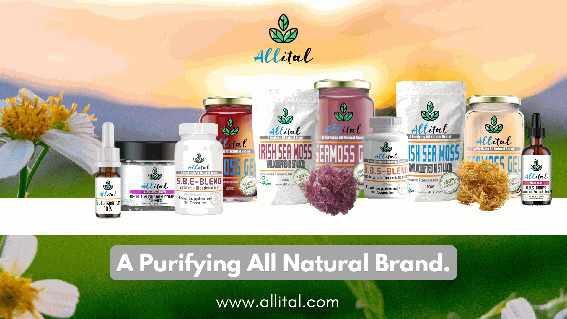 ALLITAL Sea Moss Prodcuts
