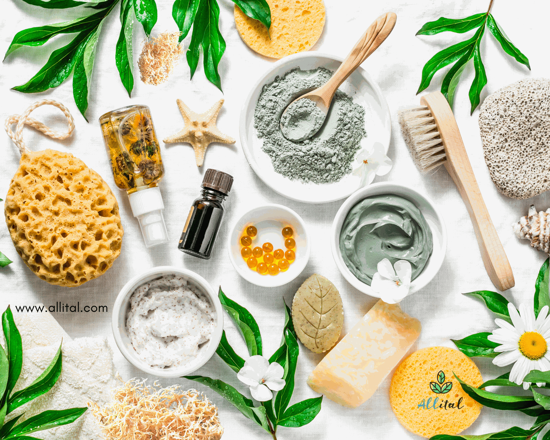 Sea Moss Clean Products