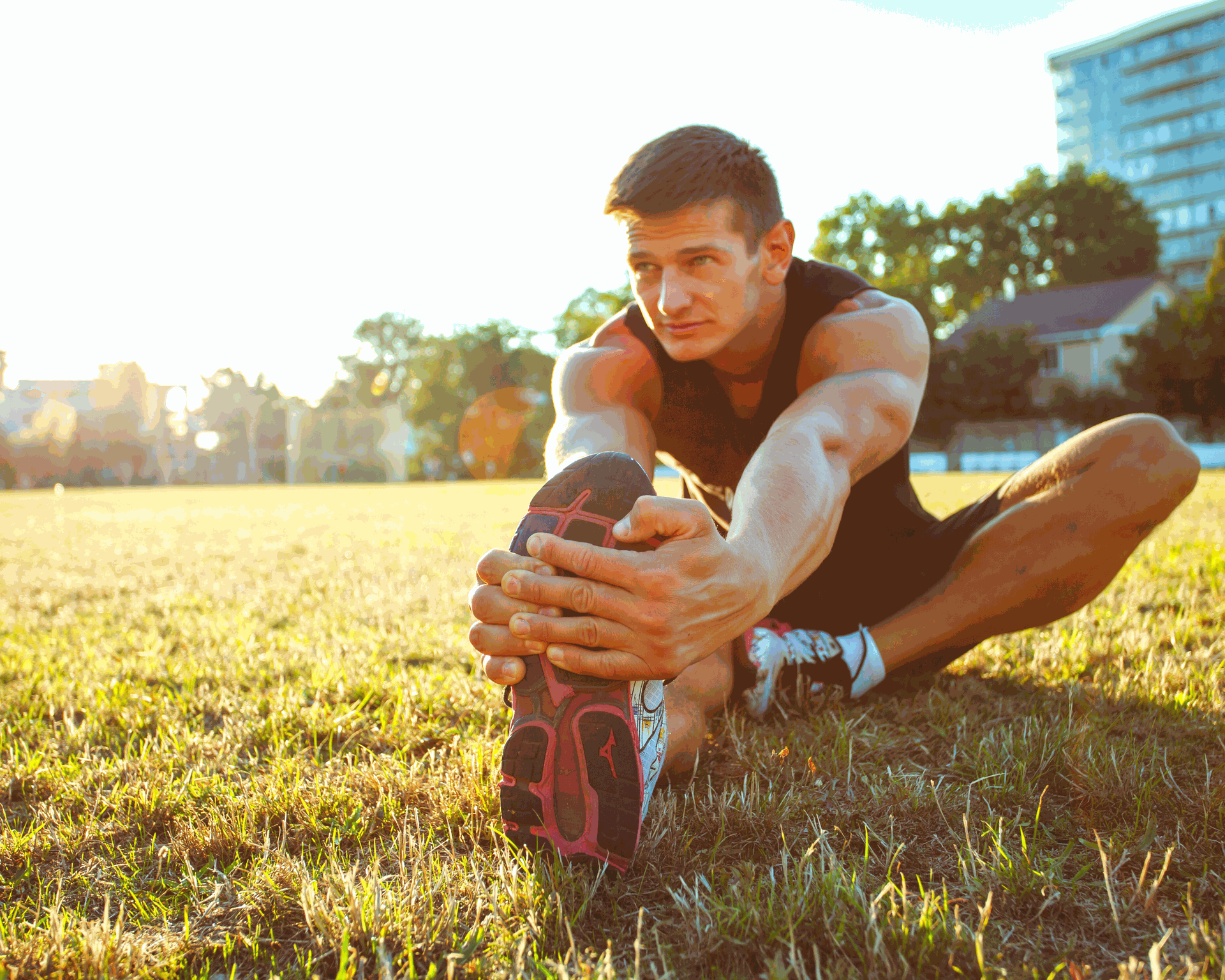 Sea Moss Benefits