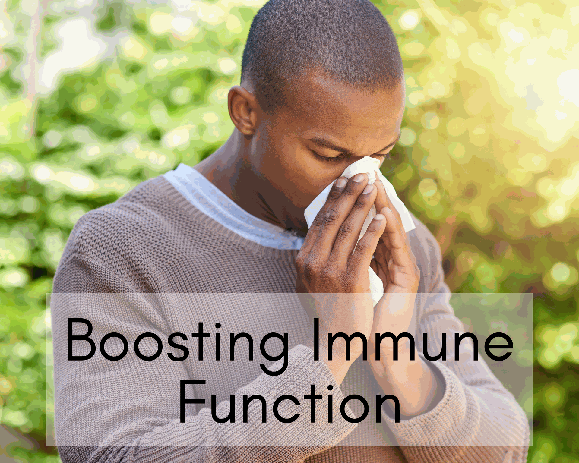 sea moss boosting immune function