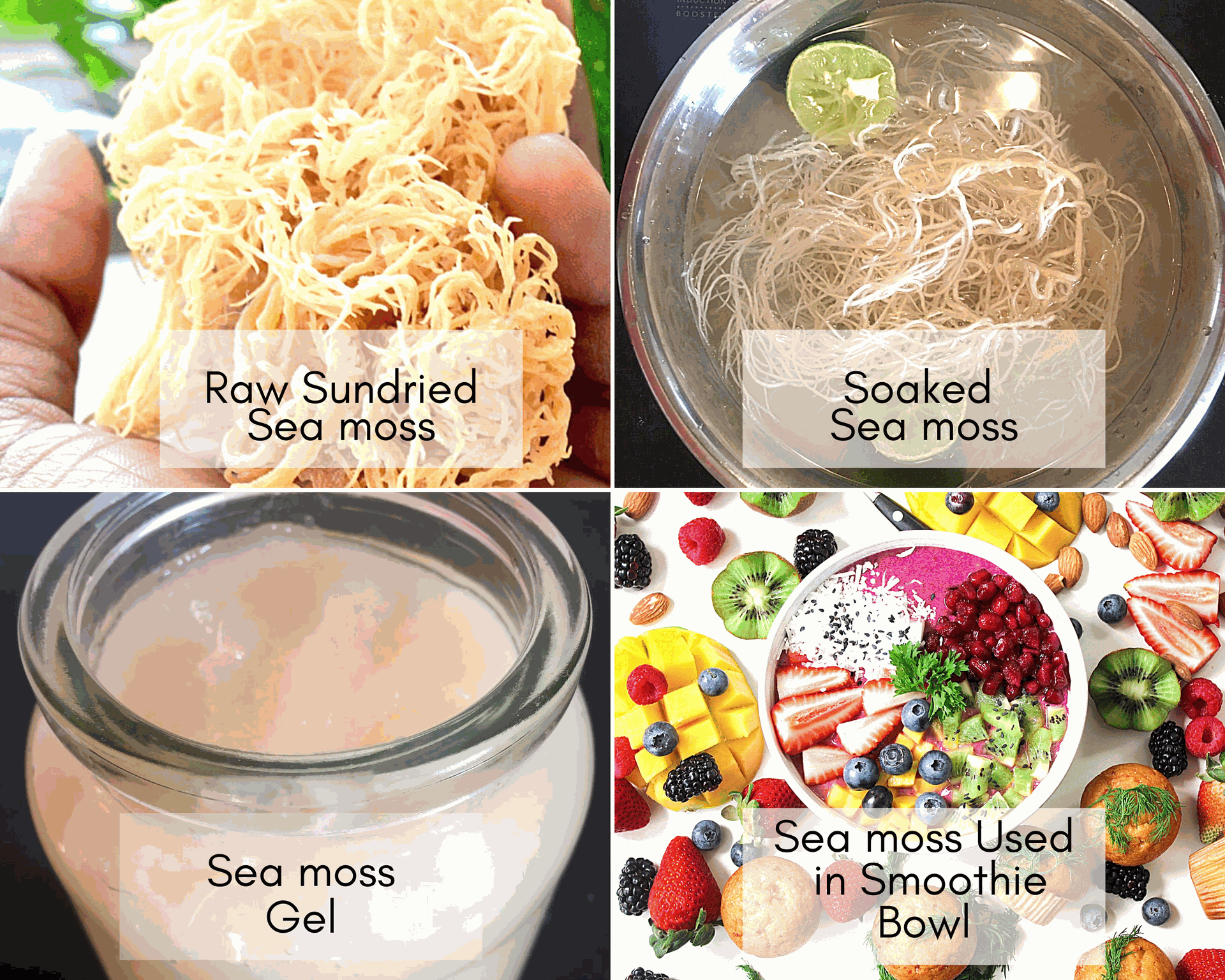 sea moss preparation