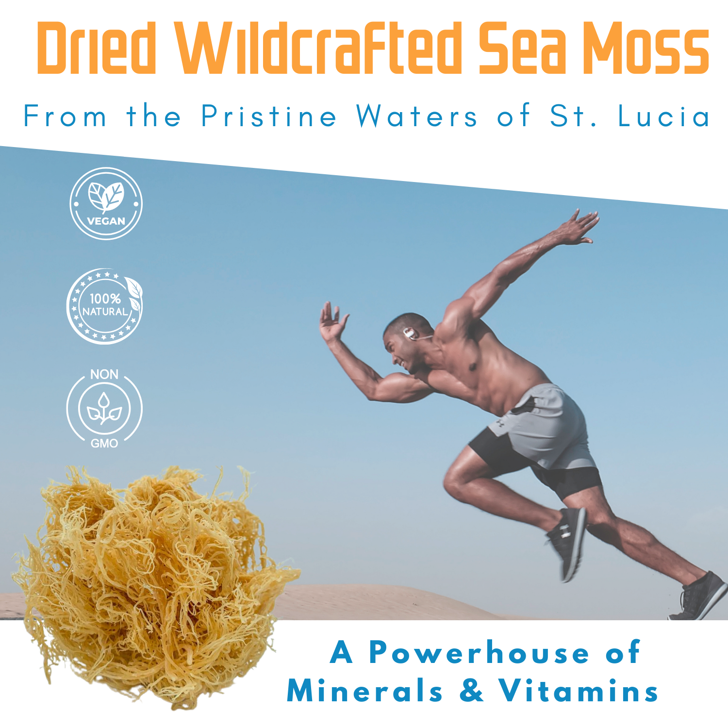 st.lucia seamoss