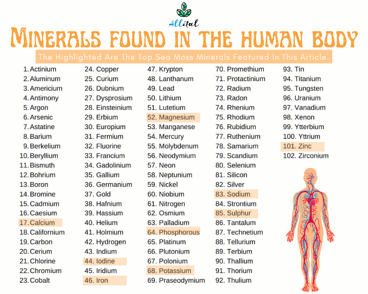 92 OF 102 SEA MOSS MINERALS