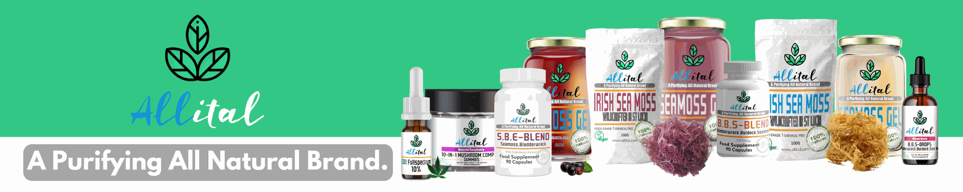 sea moss products on etsy