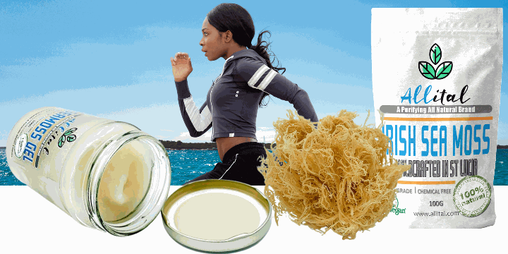sea moss gel benefits