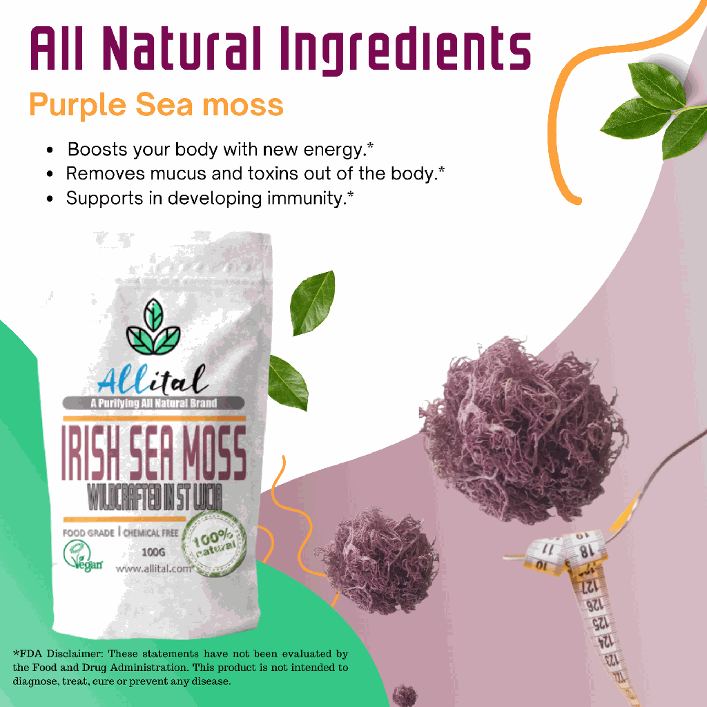 FINALPurple Pouch-Refresh AMAZON (7).png