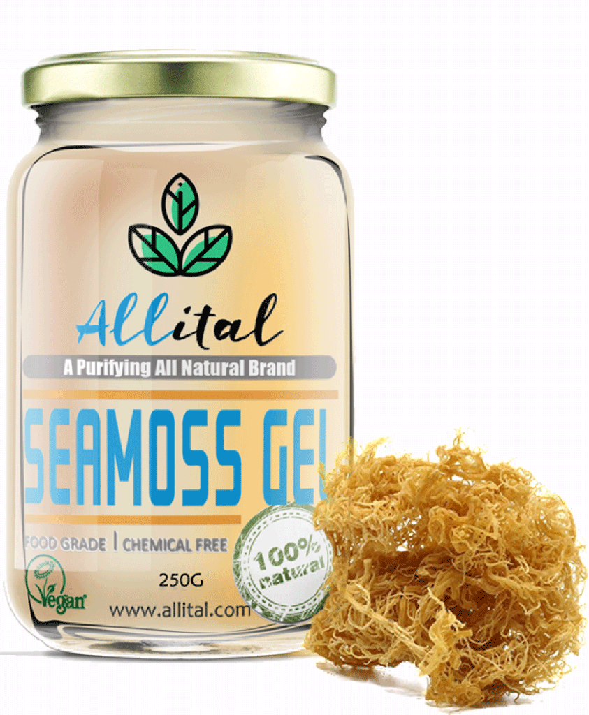 Wildcrafted St. Lucia Sea Moss Gel (500ml) – Freshly Made in the UK | For Natural Energy, Clear Skin & Inner Balance.