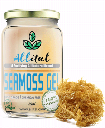 Wildcrafted St. Lucia Sea Moss Gel (500ml) – Freshly Made in the UK | For Natural Energy, Clear Skin & Inner Balance.